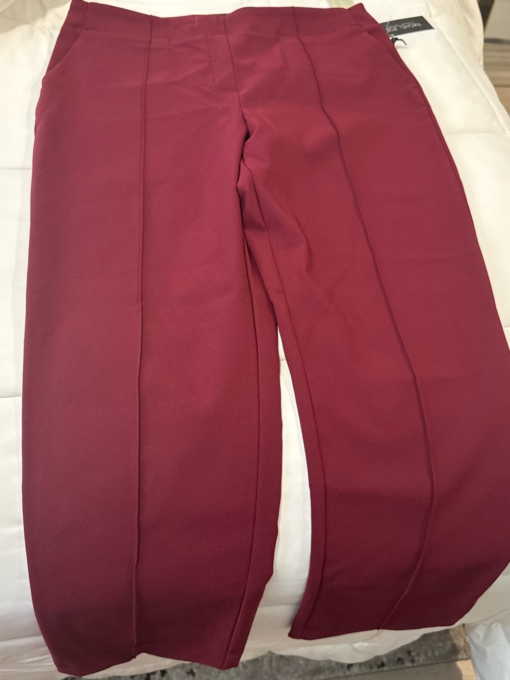 Rachel Zoe Men's Slim Leg Pants in Burgundy